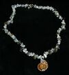 Ammonite, Labradorite, Rock Quartz Necklace #4541-1